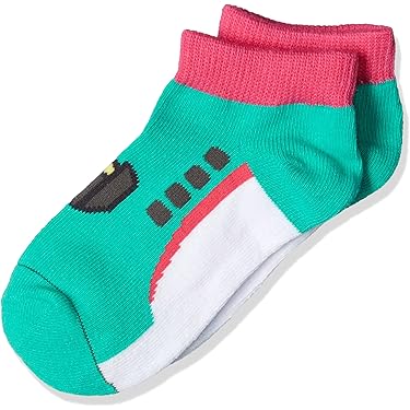 己龍 龍跳狐臥DVD BOX✴︎子龍限定✴︎受注生産製品➕チェキ10枚