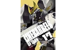鉄のラインバレル　完全版（１７） (ヒーローズコミックス)