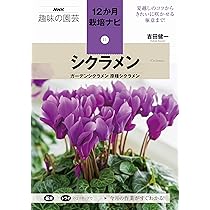シクラメン ガーデンシクラメン 原種シクラメン (NHK趣味の園芸 12か月