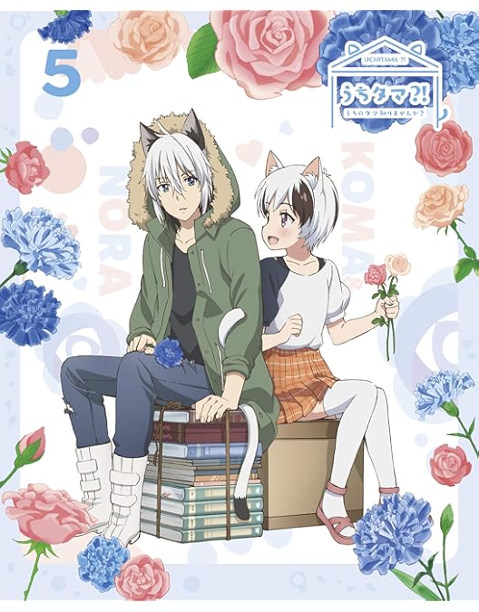 Amazon.co.jp: うちタマ?! ~うちのタマ知りませんか?~6(完全生産限定版