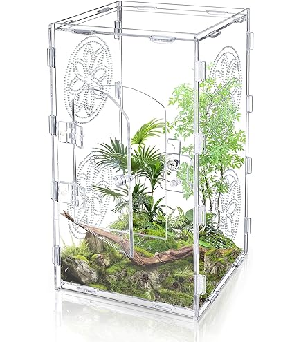 Jumping Spider Habitat Accessories - Mushroom Shelf, Moss Ribbon & Magnets