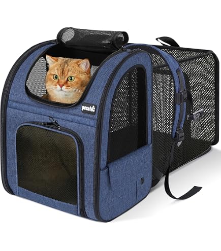 Amazon.co.jp: Pecute 猫 キャリー リュック ペット キャリーバッグ 犬