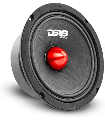 Pioneer TS-S062PRS 2.6