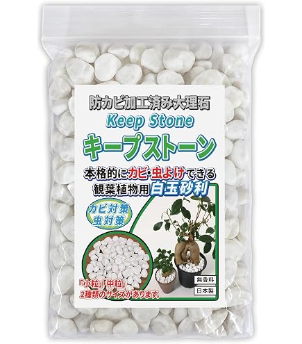 自然石加工品ー１（ケニヤ産貝殻大理石キートレイ） Amazon | 防カビ加工済み大理石 キープストーン 白玉砂利 中粒 400g