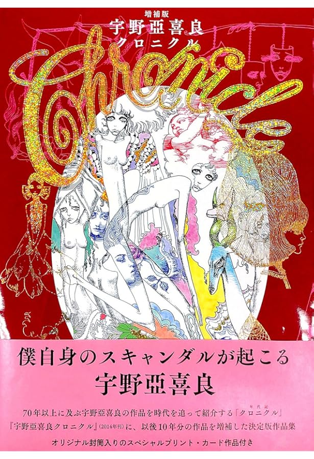 Amazon.co.jp: 奥の横道: Aquirax Labyrinth2007-2008 : 宇野 亜喜良: 本