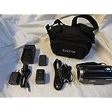 ソニー SONY ビデオカメラ Handycam CX535 内蔵メモリ32GB ボルドーブラウン HDR-CX535/T