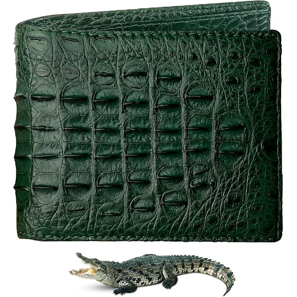 Amazon | [Genuine Crocodile leather] グリーン 無双 二つ折り財布