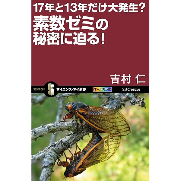 Amazon.co.jp: 17年と13年だけ大発生？素数ゼミの秘密に迫る