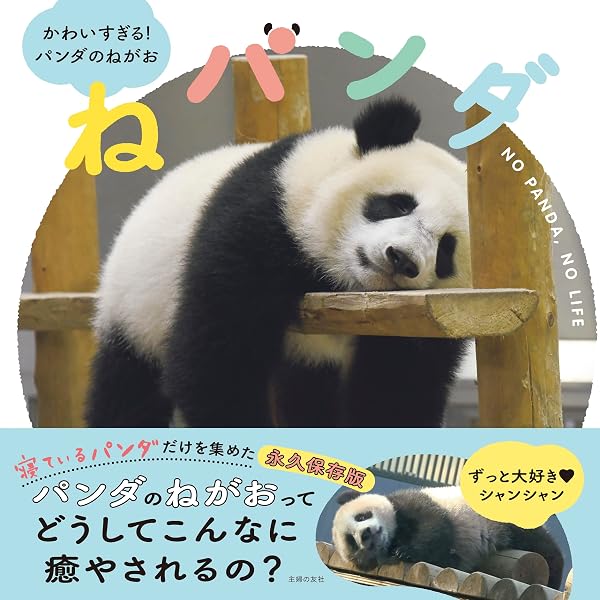 パンけつ | 主婦の友社 |本 | 通販 | Amazon
