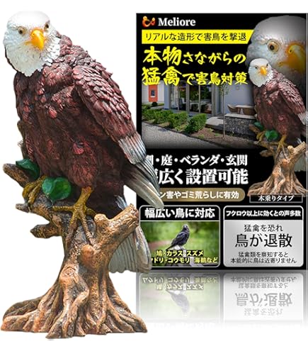 Amazon.co.jp: 鷹 ワシ 置物 鷹の置物 縁起物 開店祝い プレゼント