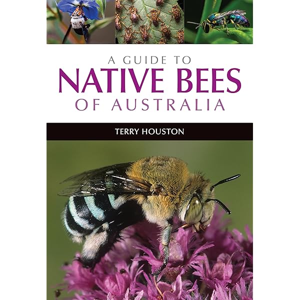 Australian Native Bee Book : Heard,Tim: Amazon.com.au: Books