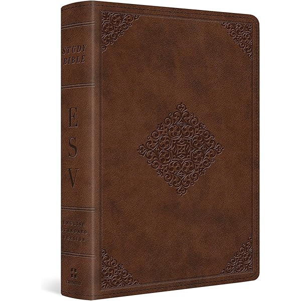 スタディバイブル　THE STUDY BIBLE 改訂版 スタディバイブル THE STUDY BIBLE 改訂版 聖書スタディ版 改訂