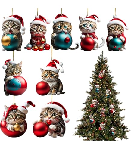 Amazon | ドイツ ローテンブルク ケーテウォルファルト Kathe