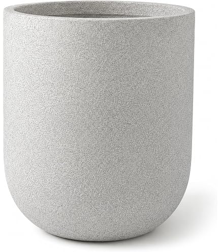 Amazon | 信楽焼 窯肌櫛目輪型 13号 大型植木鉢 | 鉢