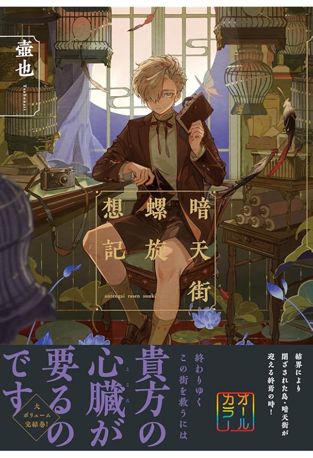 暗天街幻想奇録 (リュエルコミックス) | 壺也 |本 | 通販 | Amazon