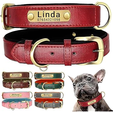 Amazon.co.jp ほしい物ランキング: 犬用ベーシック首輪 で、ほしい物