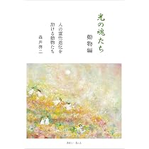 光の魂たち 山岳編 序章 人の御魂を磨く聖なる山々 | 森井啓二 |本