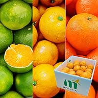 Amazon.co.jp: 訳あり 不知火柑 約10キロ前後 デコポンと同