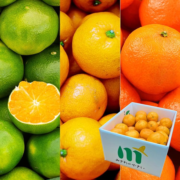 専用出品　訳ありたんかん　B品 3Lサイズ 20キロ 専用出品 訳ありたんかん B品 3Lサイズ 20キロ 専用出品 訳あり