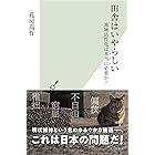 田舎はいやらしい～地域活性化は本当に必要か？～ (光文社新書)