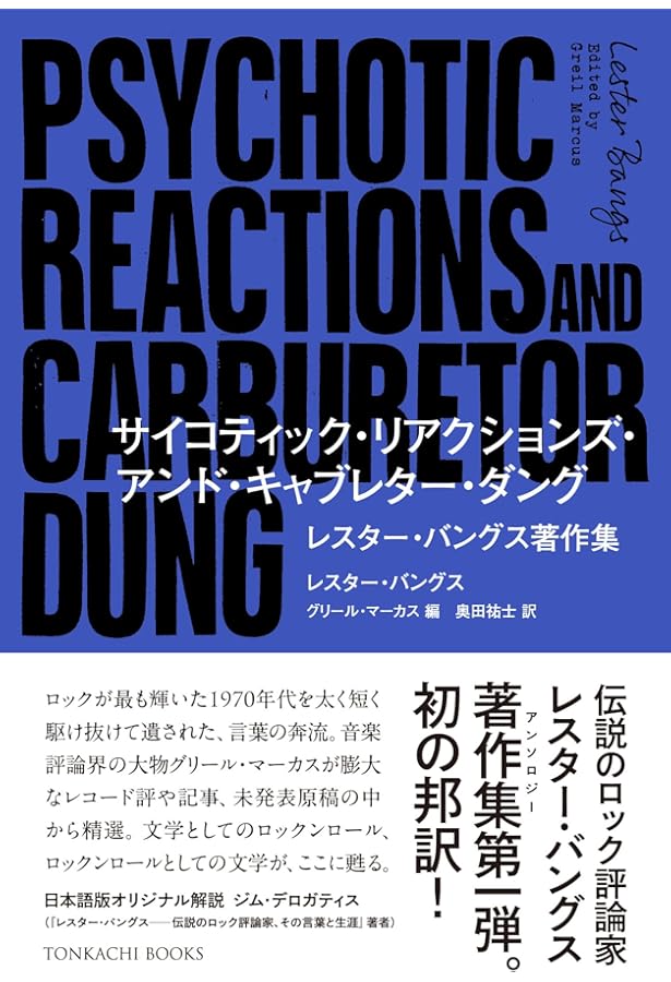 ロックの美学 三井徹著 ロックの「新しい波」―パンクからネオ・ダダまで (1984年) | 三井 徹