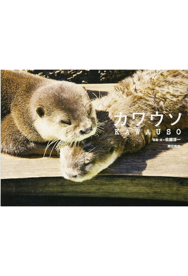 ニホンカワウソはつくづく運がわるかった?! | 熊谷 さとし |本 | 通販