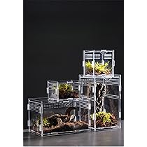 Amazon | RoBeKaU 爬虫類 飼育ケース 爬虫類 飼育ケース 昆虫