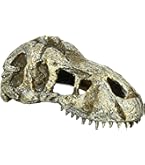 【れいき】グラステラリウム4560 PT2607 Amazon | エキゾテラ GEX EXOTERRA グラステラリウム 4560