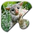Jigsaw Puzzles Free Game - Chapter 17