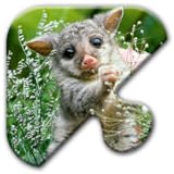 Jigsaw Puzzles Free Game - Chapter 17