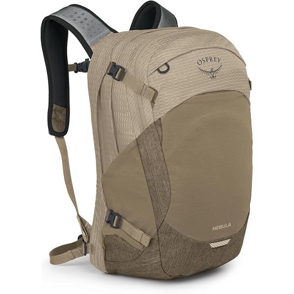 Amazon.co.jp: Osprey Kode 22個パック、アルペングローオレンジ、L