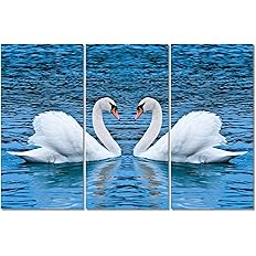 Amazon 美しい白い白鳥の動物のイラスト キャンバストリプティクプリントオンキャンバスアートウォール画像フレームレス3dプリントモダンコンテンポラリーアートワーク装飾壁画装飾写真リビングルームホテル装飾絵画 ウォールステッカー オンライン通販