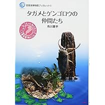 81pg-x5B4eL._AC_UL210_SR210,