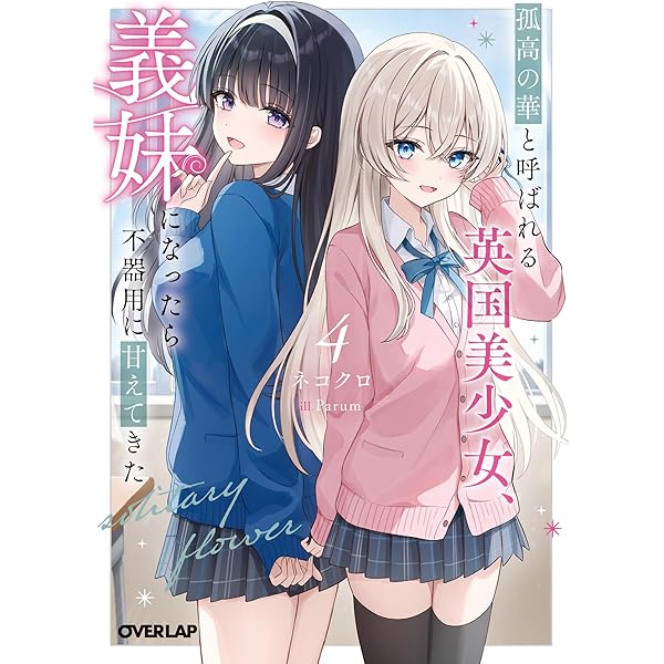 義妹生活 1〜15巻 ＋ another days ＋ブックカバー 三河ごーすと Amazon.co.jp: 義妹生活 another days (MF文庫J) : 三河 ごーすと