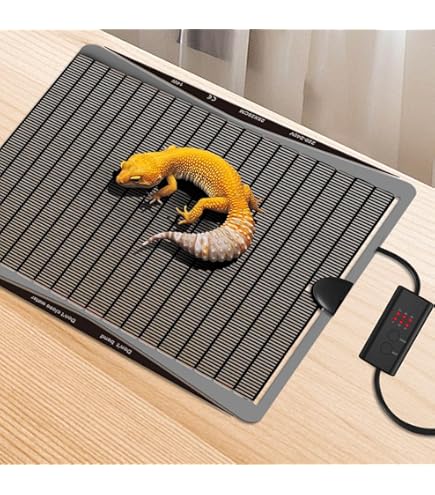 Amazon | みどり商会 スーパー1 M サイズ | みどり商会 | 保温球