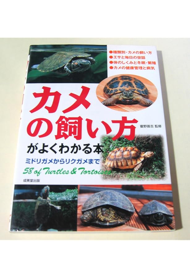 Amazon.co.jp: カラー図鑑カメのすべて : 高橋 泉: Japanese Books