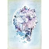 RADWIMPS Live & Document 2014「×と○と君と」(通常盤)[DVD]