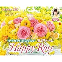 週末から祝日まで限定お値下げ！真紅の色合い　幸せを呼ぶ模様のアダナオールドキリム ジーストア／アクアプラス POP UP SHOP 2025〉〈秋葉原グラン