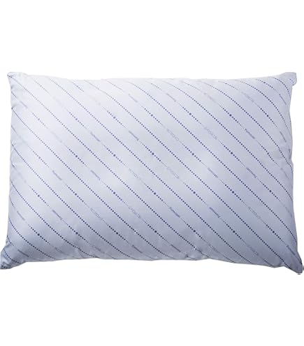 Amazon｜ダニゼロック パイプ枕 大 43×63cm DZ105003-600999｜枕