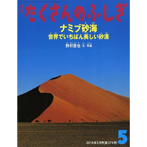 カラー版 世界の四大花園を行く―砂漠が生み出す奇跡 (中公新書 2182