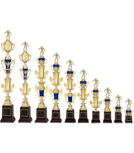 Amazon | [レーザー彫刻名入れ] GOLD SHACHI 表彰楯 盾 ボール