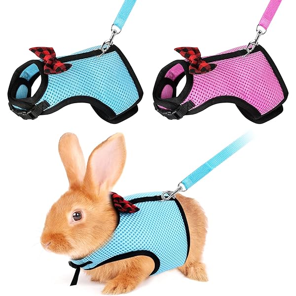 niteangel rabbit harness