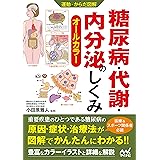 運動・からだ図解 糖尿病・代謝・内分泌のしくみ