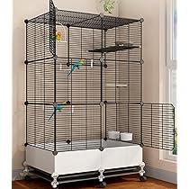 ENISHI’s様 象牙椰子の虎の置物、No.208セット ENISHI's様 象牙椰子の虎の置物、No.208セット