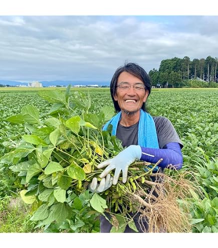 Amazon.co.jp: 山形県産 鶴岡 だだちゃ豆 (4キロ) : 食品・飲料・お酒