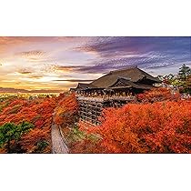 81qKDIx2jhL._AC_UL210_SR210,