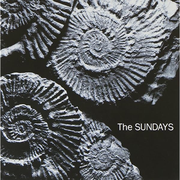 Sundays Blind 2025年US盤2LP高音質 新品 送料込 レコード Sundays Blind 2025年US盤2LP レコード The Sundays - Blind