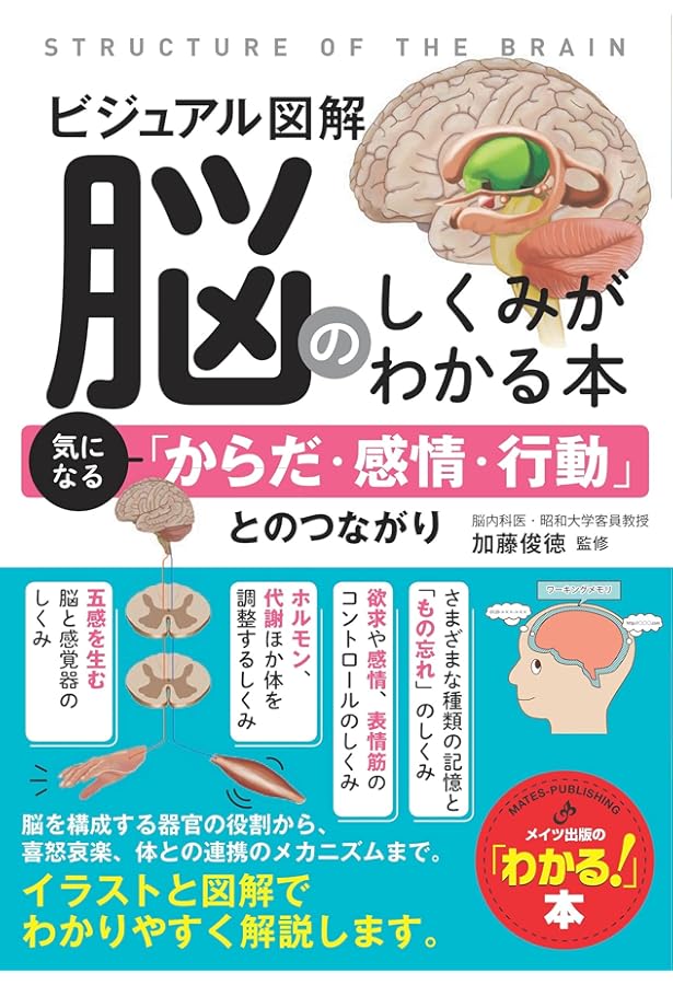 Newtonライト2.0 脳のしくみ Newtonライト2.0 脳のしくみ (ニュートンムック) |本 | 通販 | Amazon