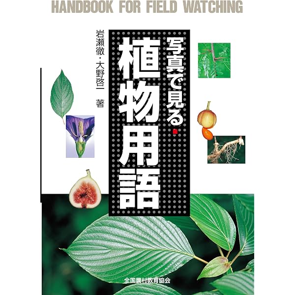 植物形態学 | 原 襄 |本 | 通販 | Amazon