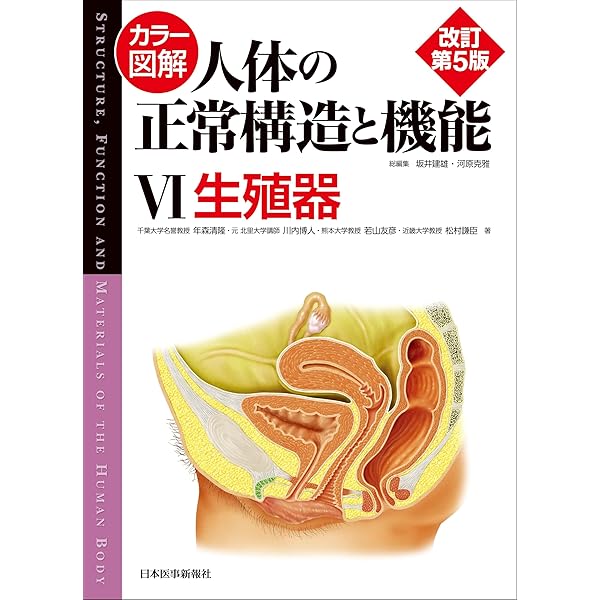 カラー図解 人体の正常構造と機能〈6〉生殖器 | 年森 清隆, 川内